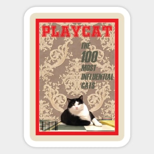 Playcat Sticker